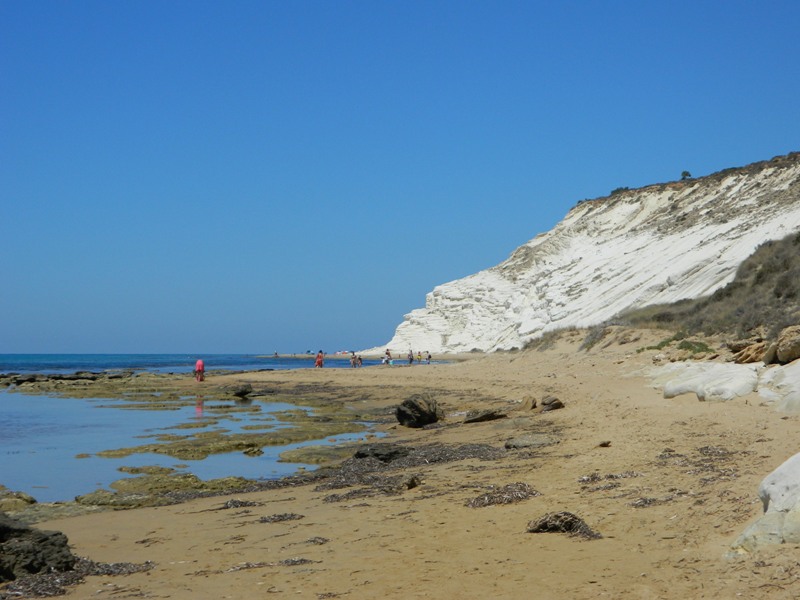 Sagome da id: corvi comuni?